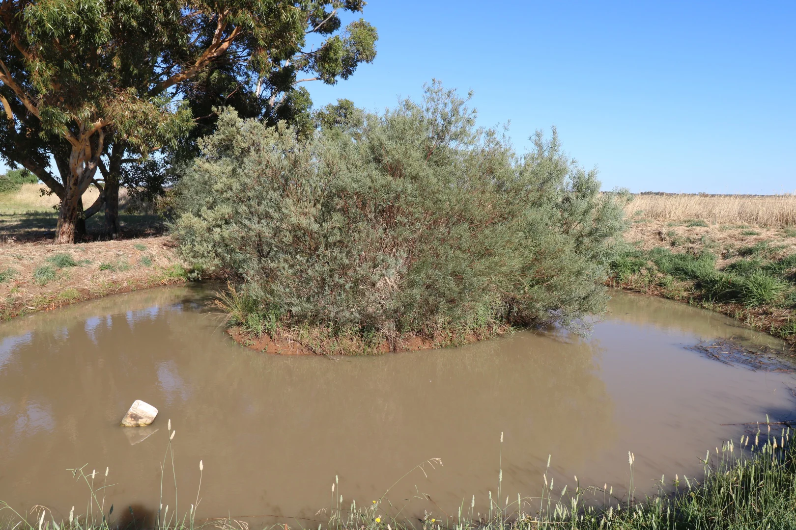 Additional image 22 of 53 Mincha North Road, Mincha VIC 3575