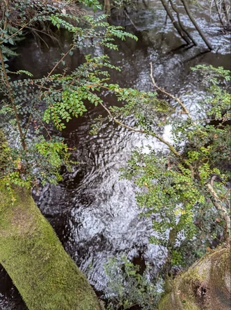 Additional image 2 of Strathblane TAS 7109