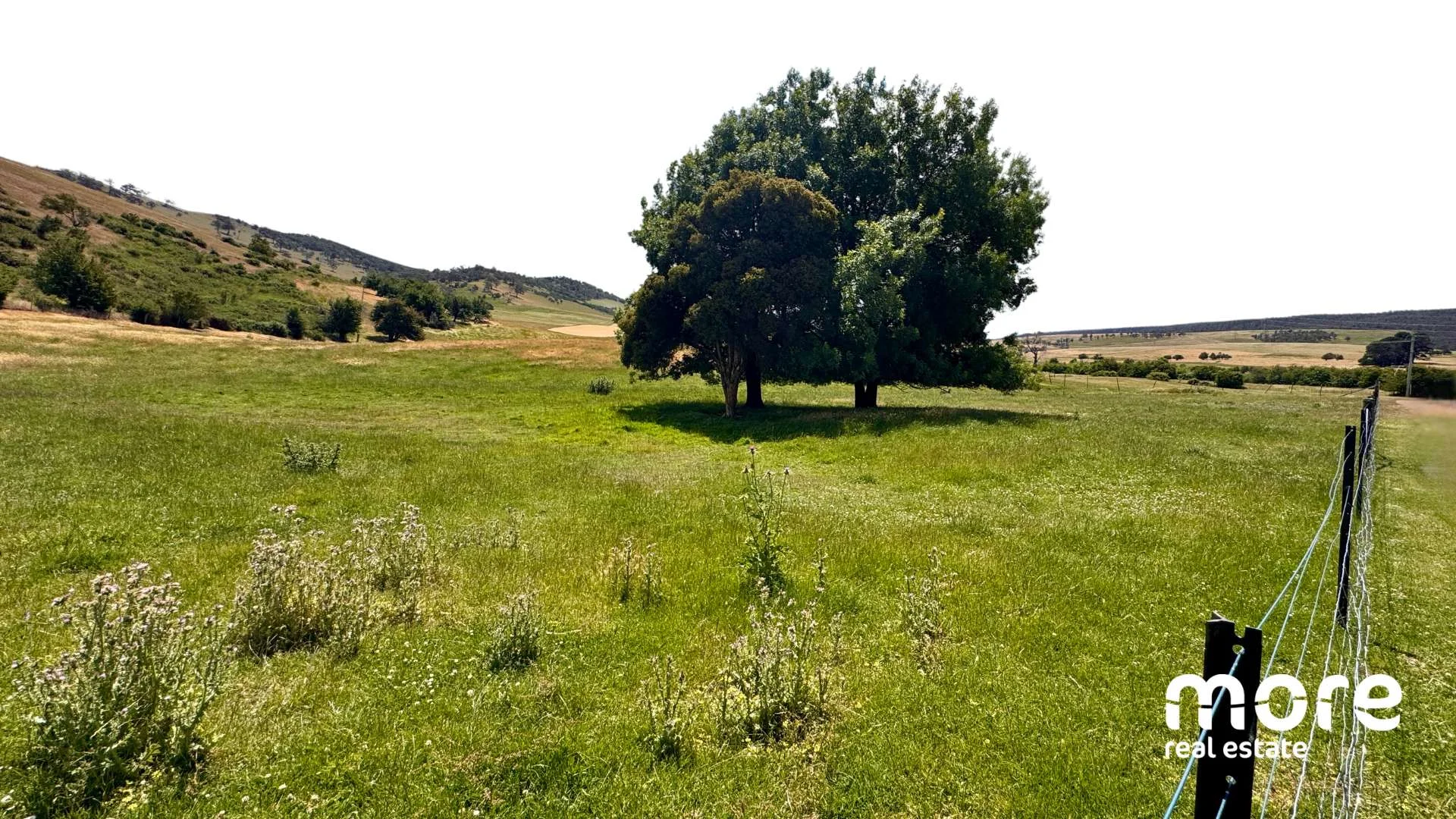 Additional image 23 of 1811 Elderslie Road, Elderslie TAS 7030