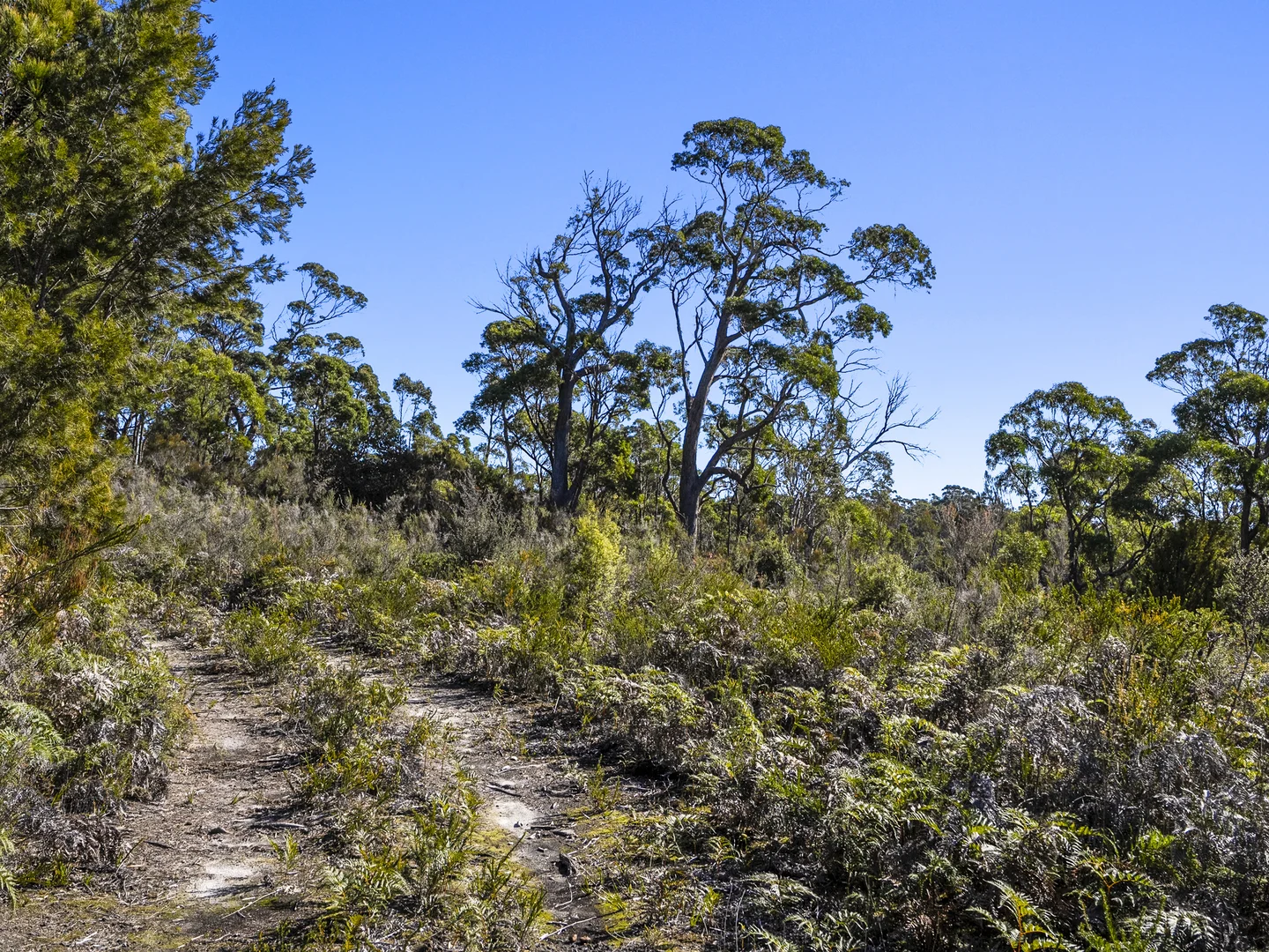 Additional image 32 of 1, 1, 2 Sympathy Point Road, Taranna TAS 7180