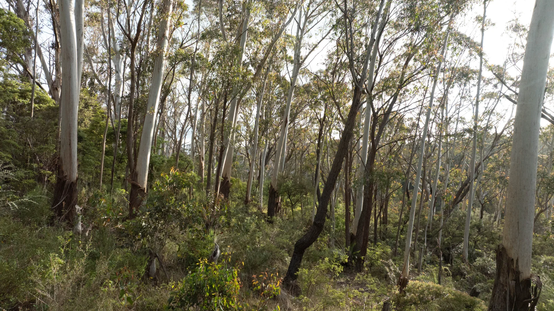 Additional image 5 of 6 Alma Lane, Katoomba NSW 2780