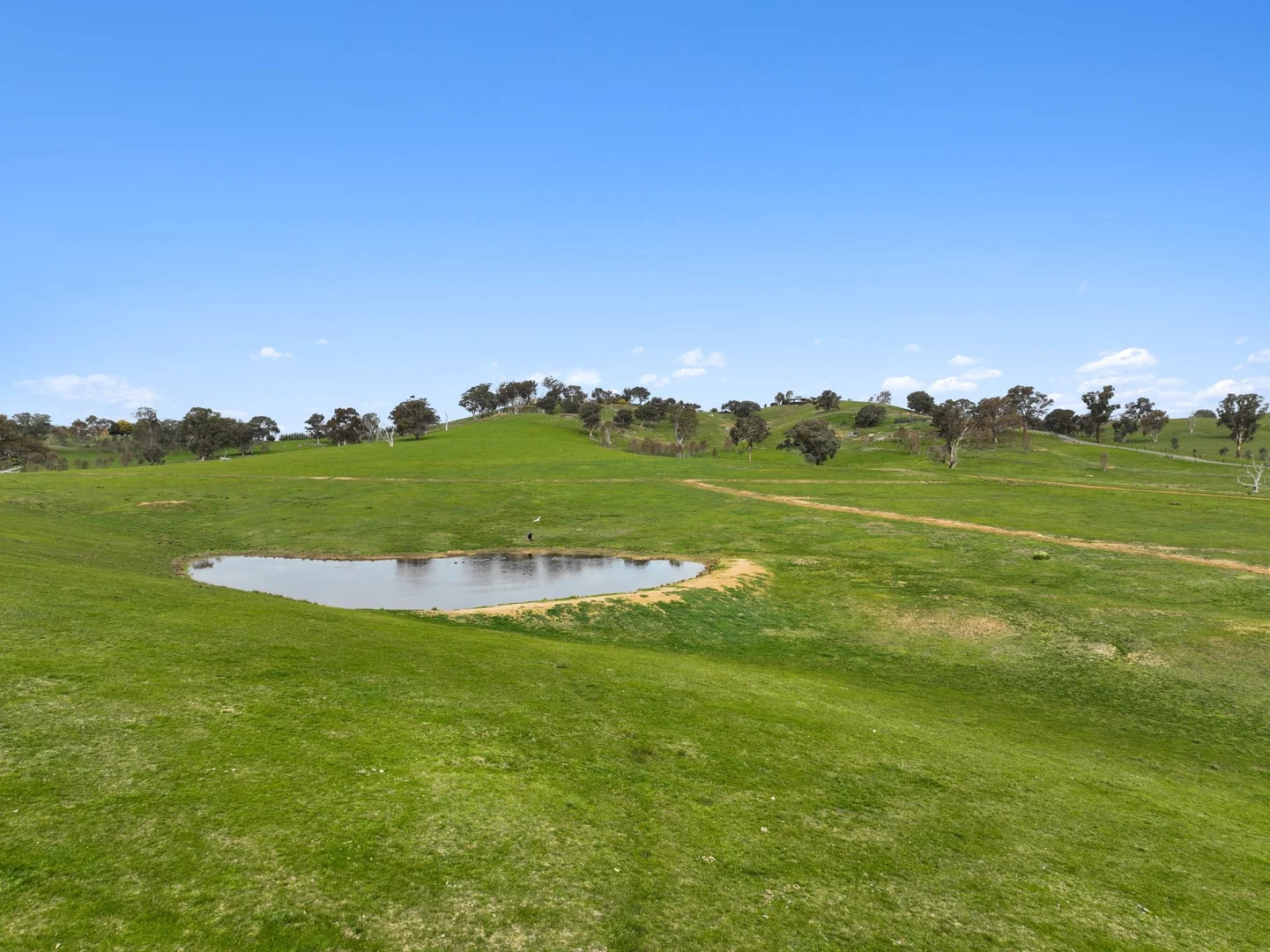 Additional image 4 of 108 Loyola Drive, Mansfield VIC 3722