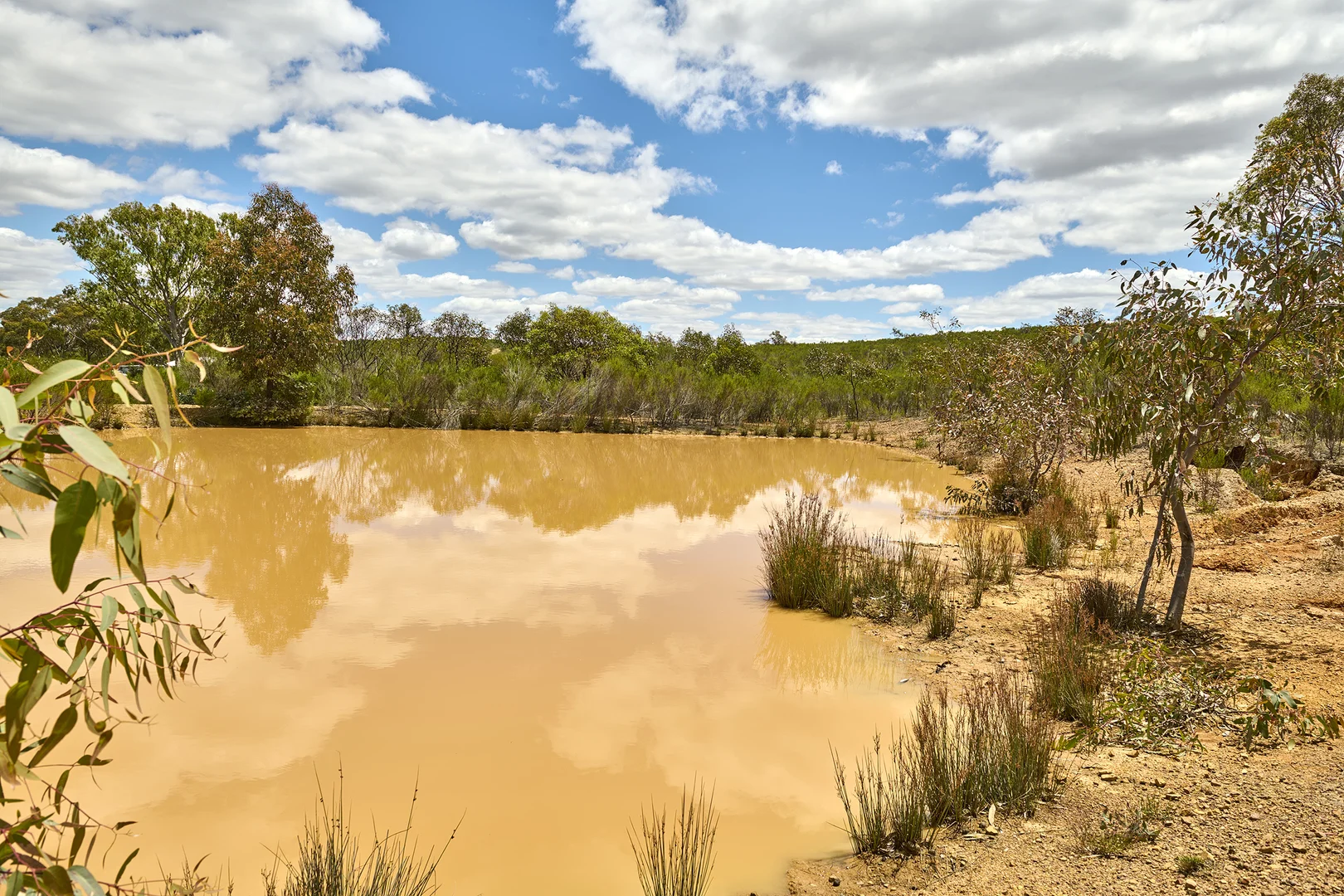 Additional image 25 of 43 Meadows Lane, Heathcote VIC 3523