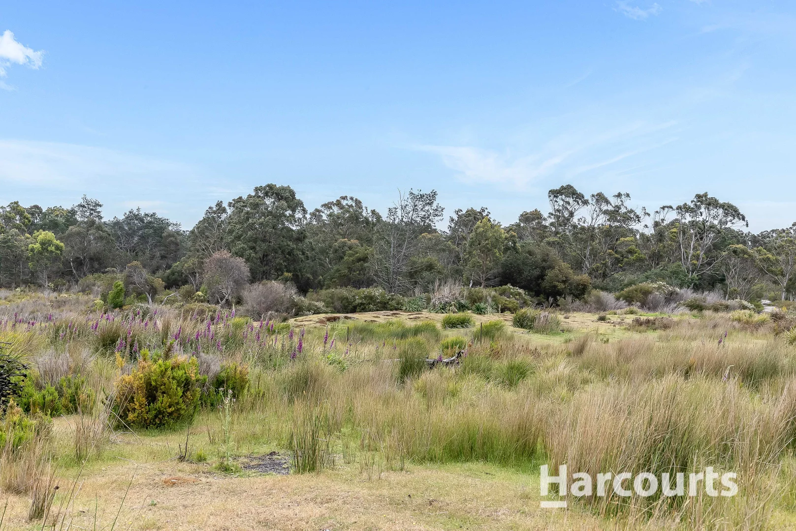 Additional image 30 of 17 Main Road, Pioneer TAS 7264