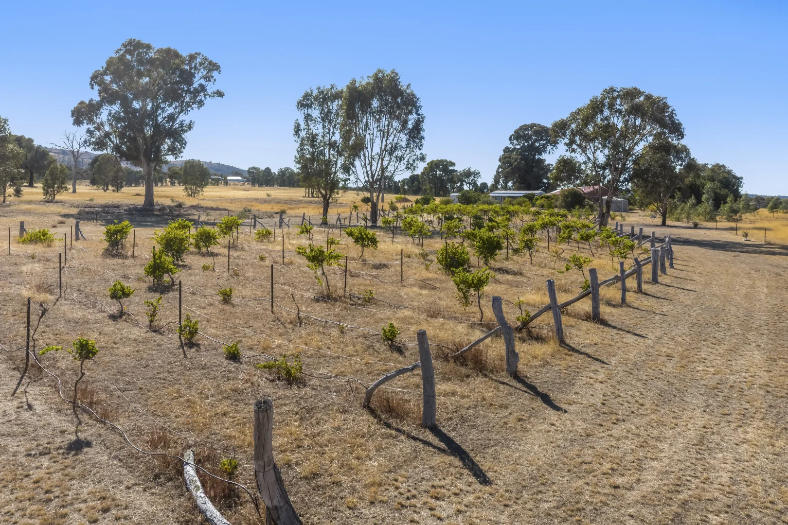 Additional image 23 of 4877 Stawell-avoca Road, Barkly VIC 3384