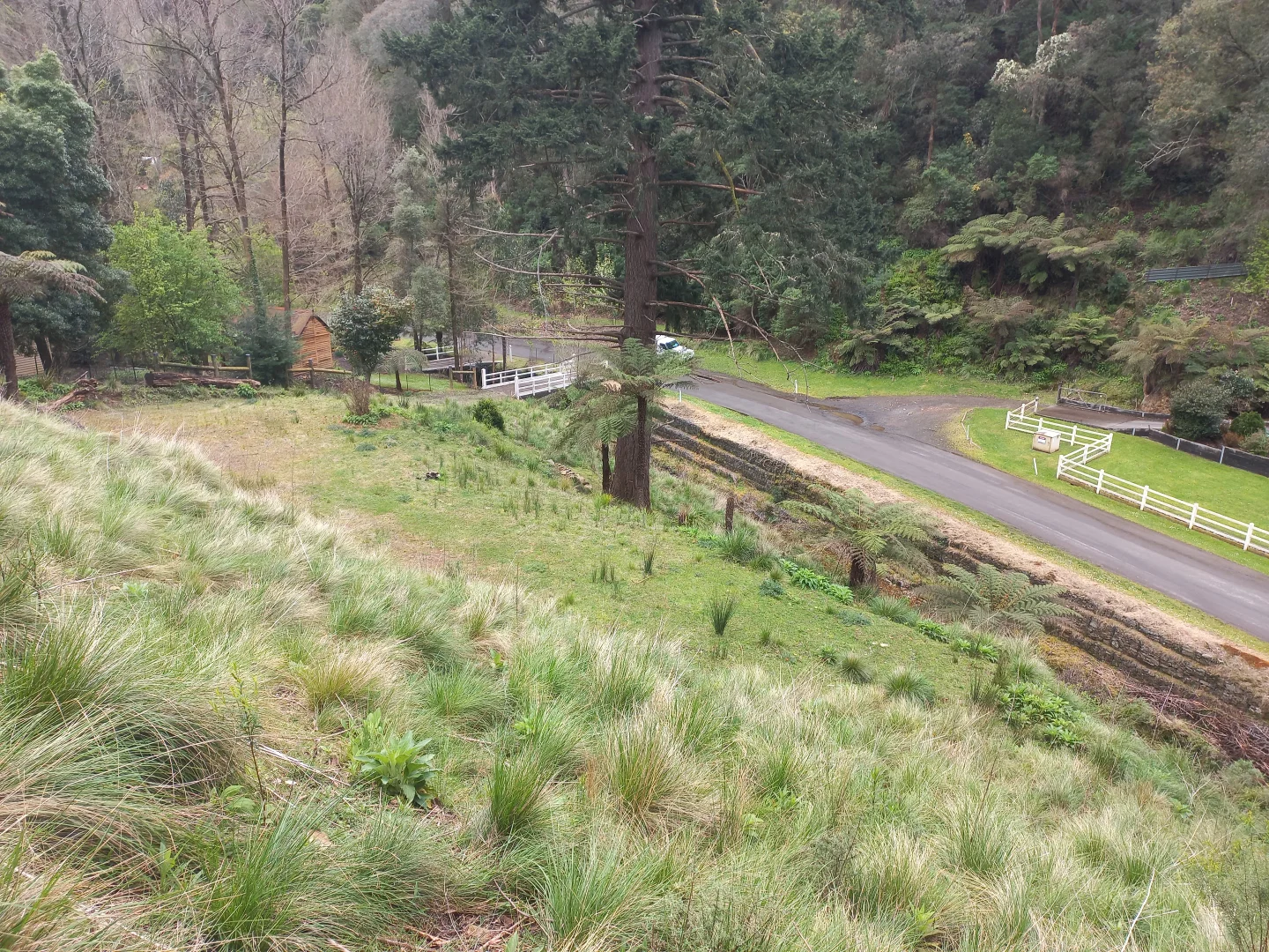 Additional image 9 of 181 Main Road, Walhalla VIC 3825