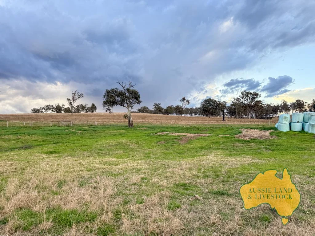 Additional image 28 of 250 Heights Road, Nanango QLD 4615