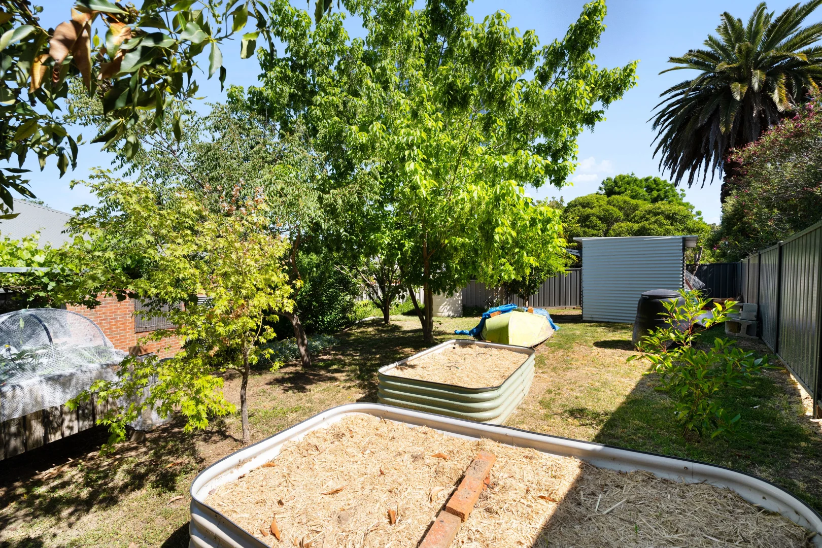 Additional image 24 of 5 Braintree Avenue, Corowa NSW 2646