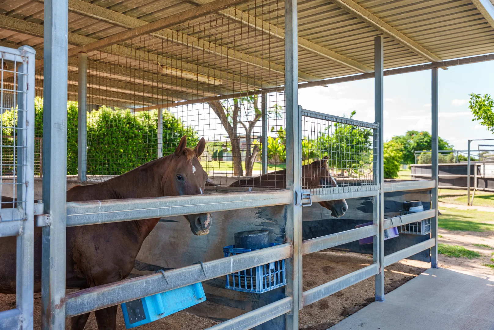 Additional image 35 of 'Allanmar Park' Goodwin Road, Gracemere QLD 4702