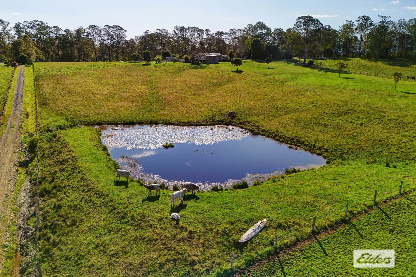 Additional image 33 of 885 Upper Lansdowne Road, Upper Lansdowne NSW 2430