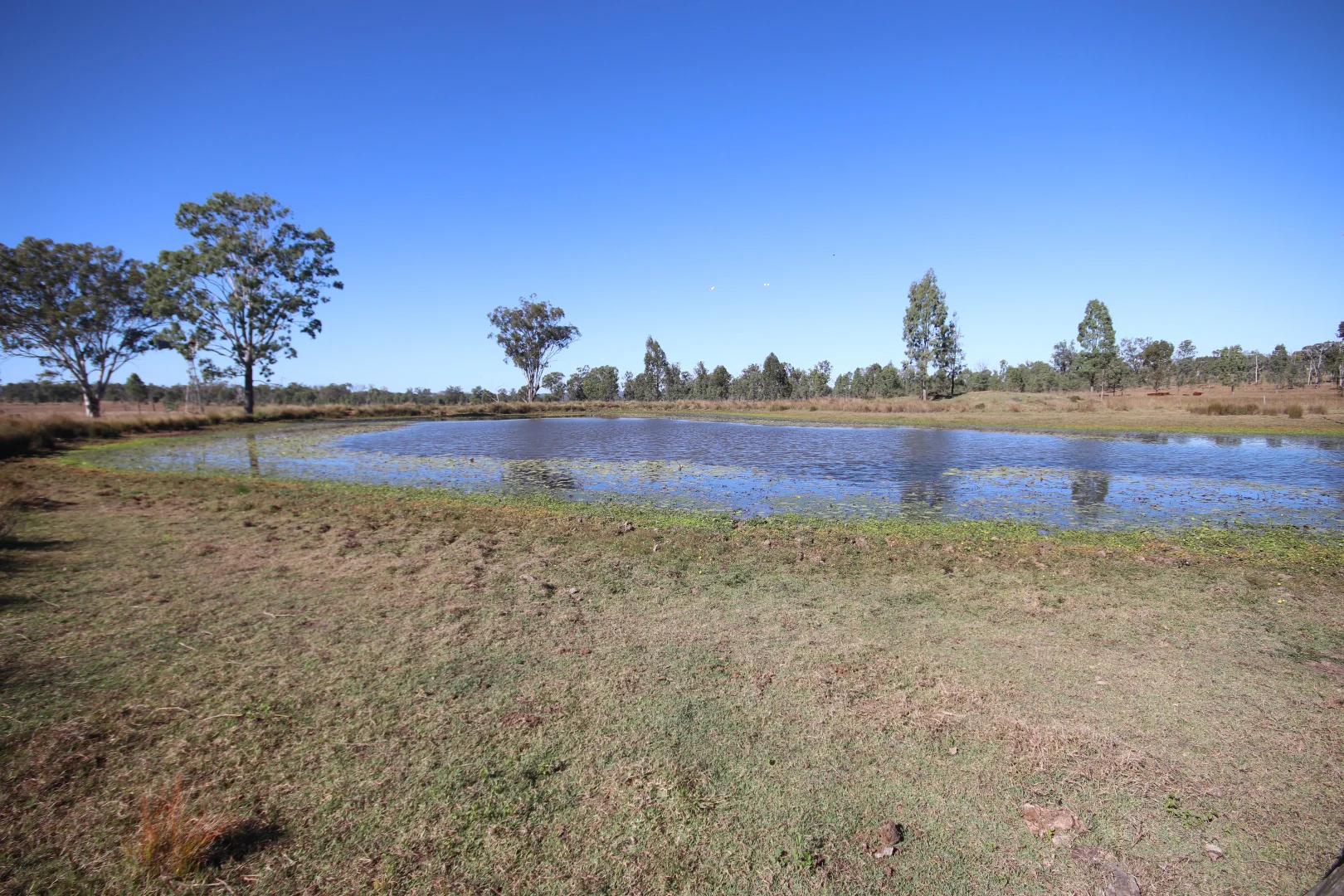 Additional image 13 of 8 Screening Plant Road, Cynthia, Eidsvold QLD 4627