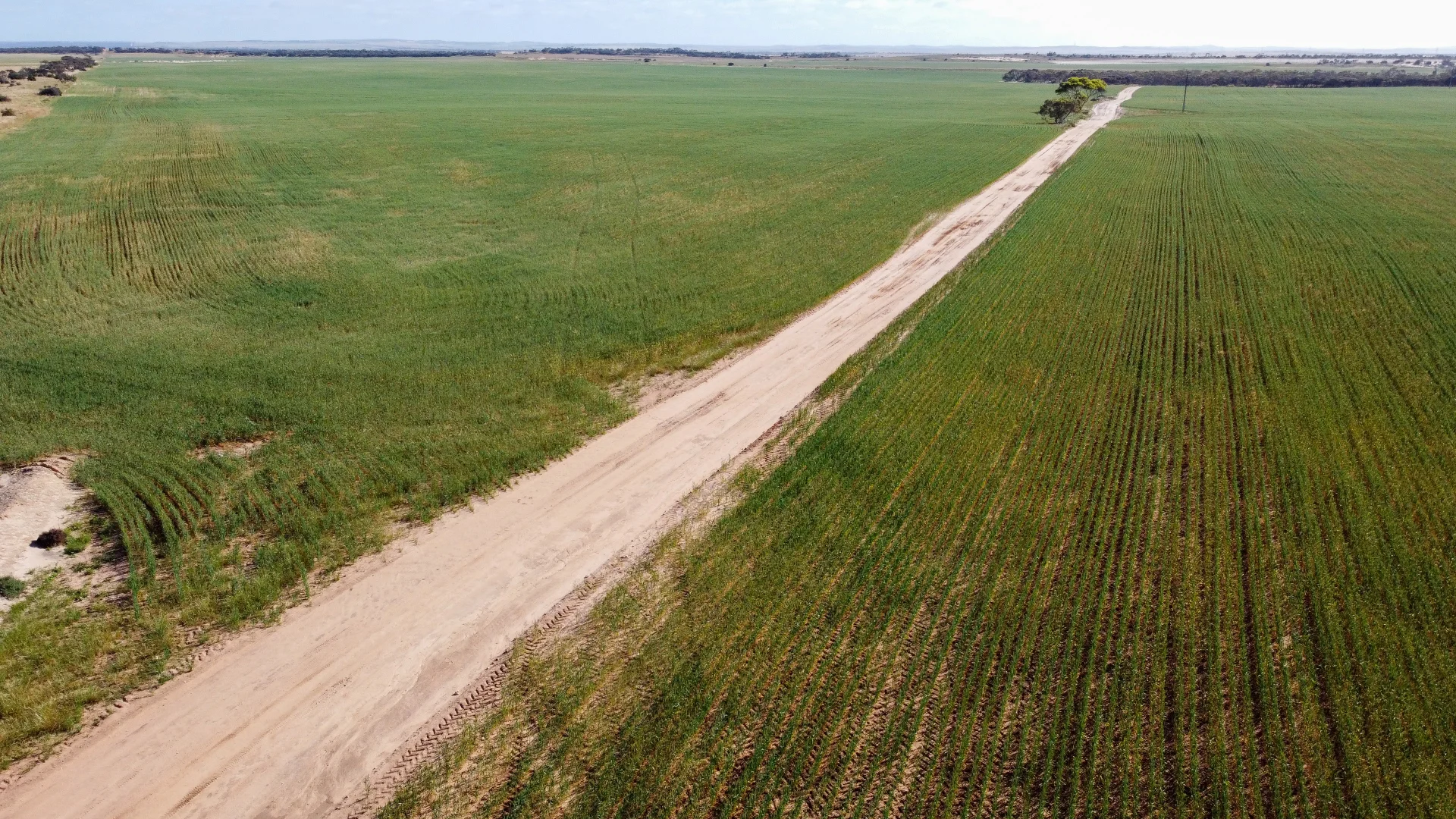 Additional image 9 of 177 Taragoro Road, Rudall SA 5642