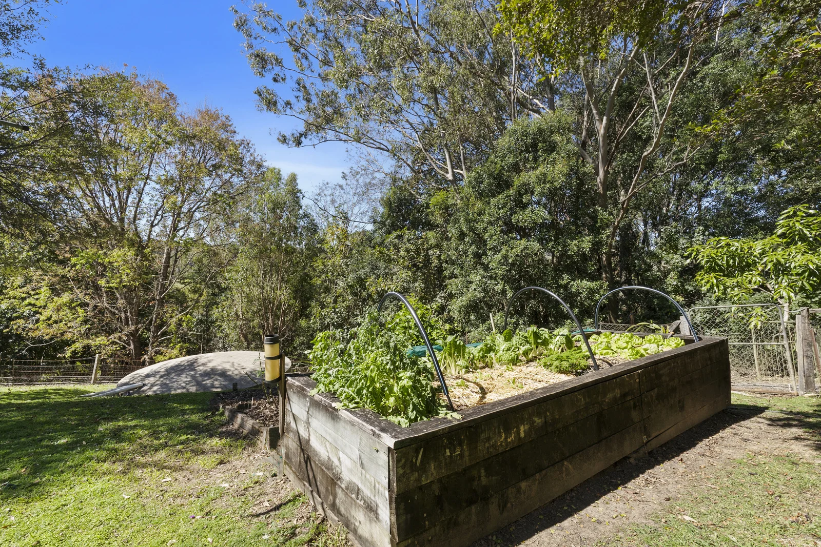 Additional image 19 of Crystal Creek NSW 2484