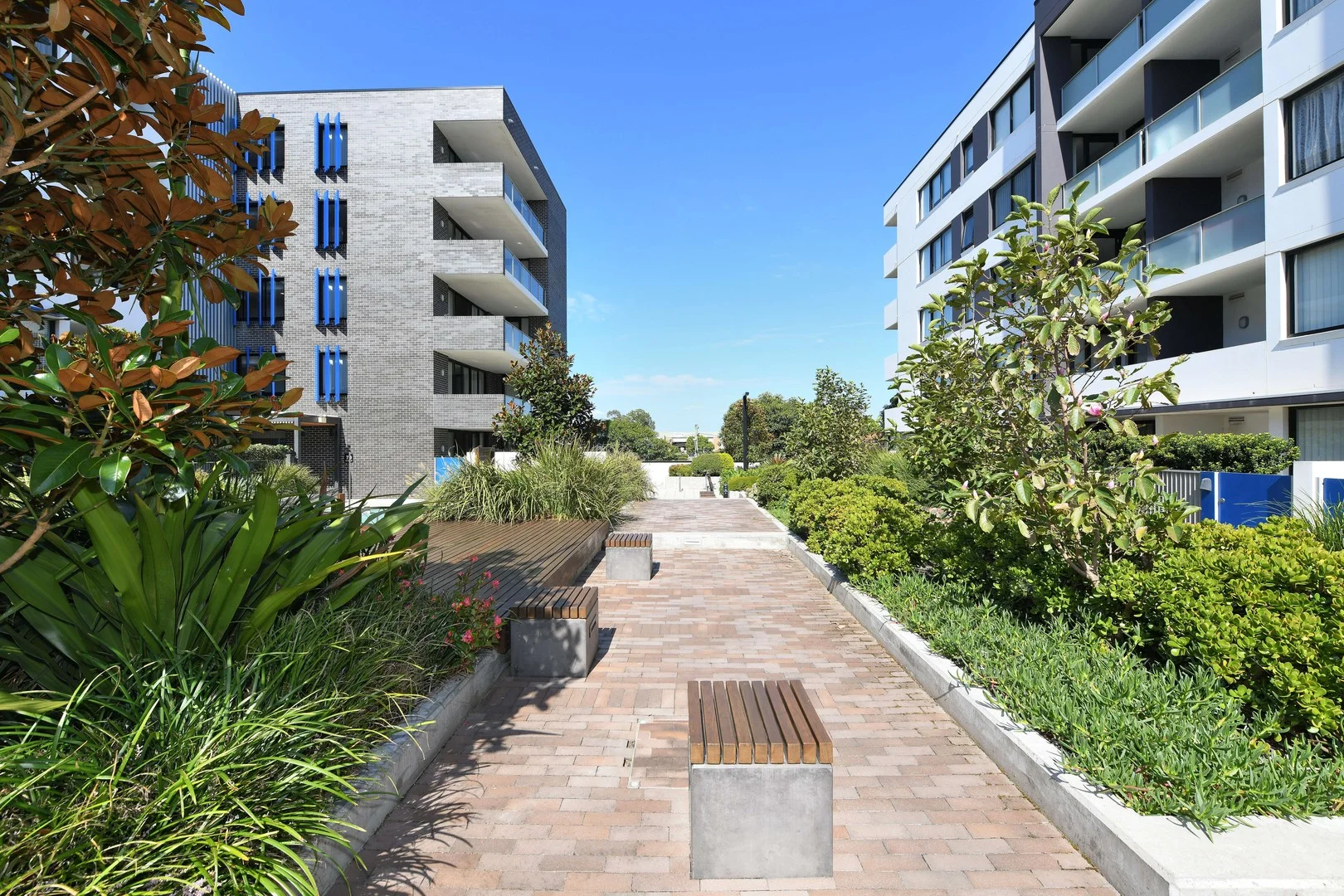 Additional image 2 of 213/70 Charlotte Street, Campsie NSW 2194