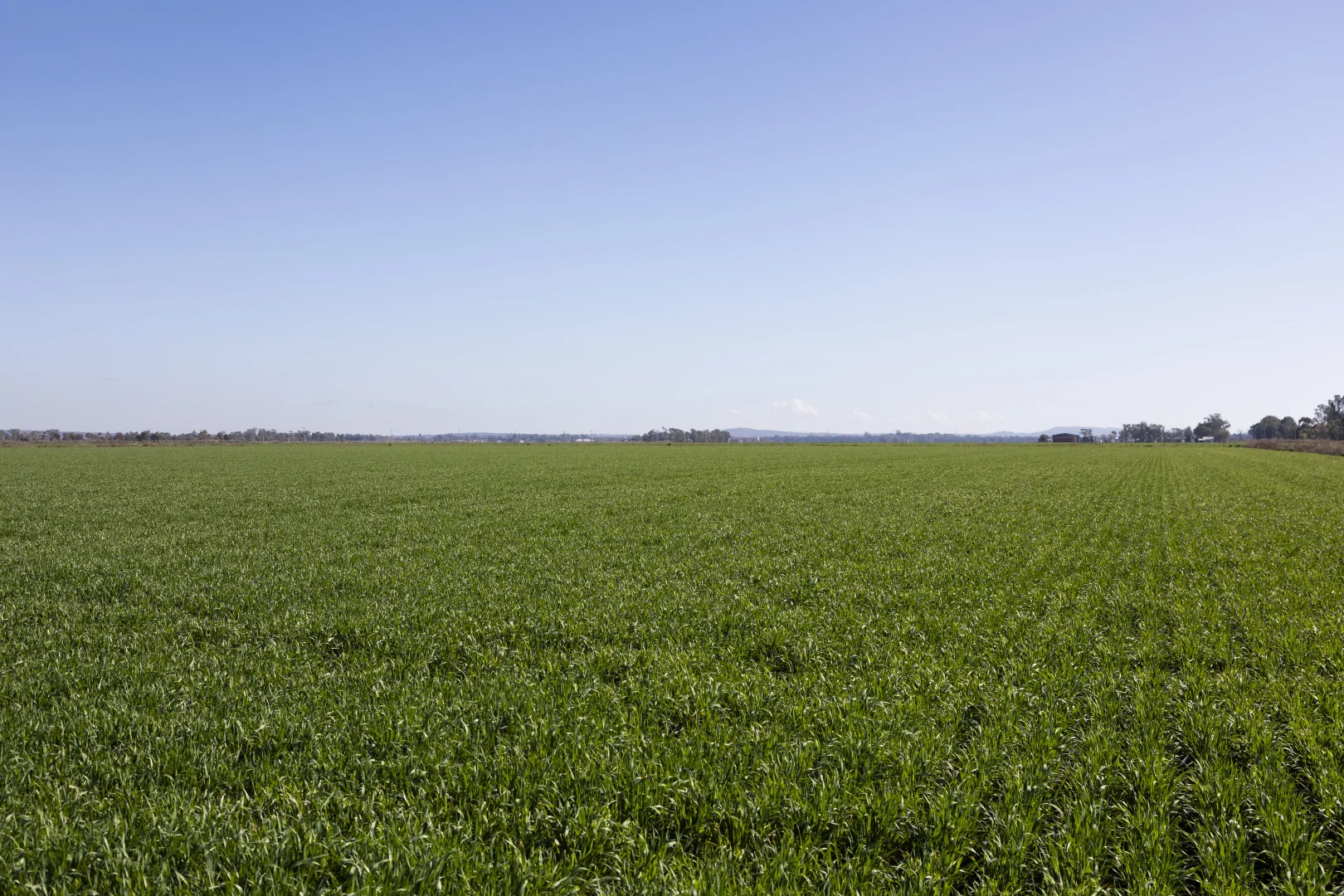 Additional image 13 of Lot 1 Farm/360 Condon Rd, Bilbul NSW 2680