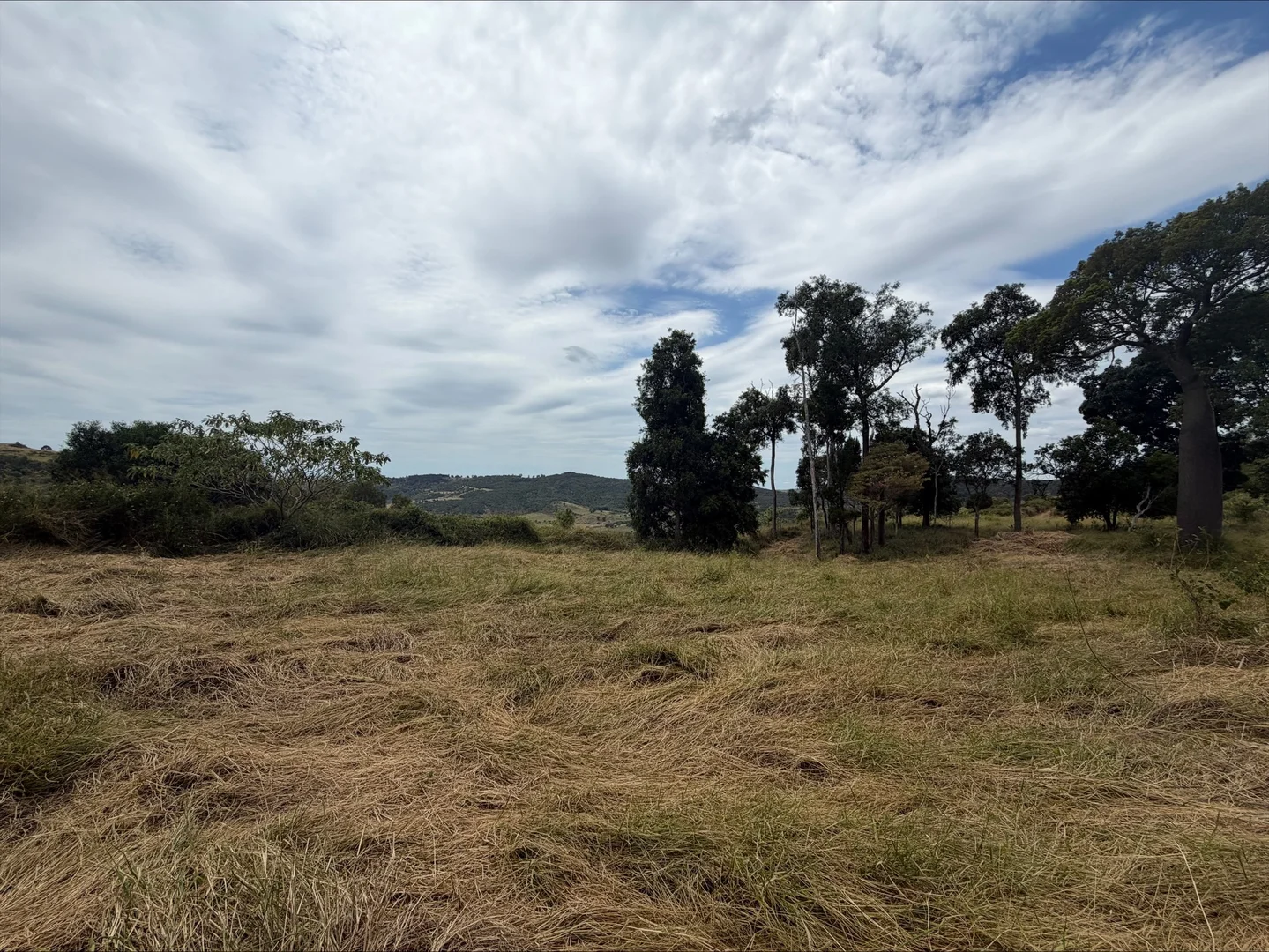 Additional image 6 of Lot 62 Berlin Rd, Mount Berryman QLD 4341