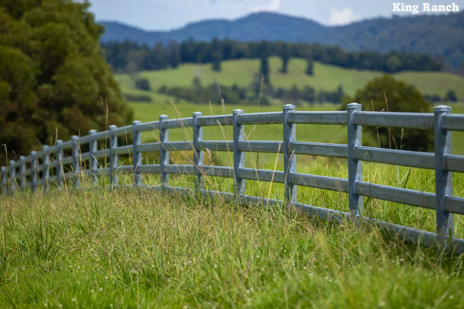 Additional image 19 of "King Ranch" 481 Upper Bobo Road, Coffs Harbour NSW 2450