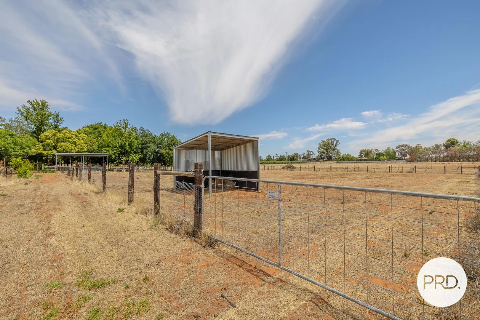 Additional image 29 of 169 Euston Avenue, Irymple VIC 3498