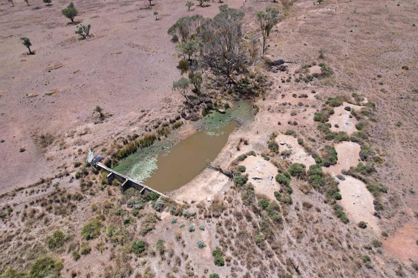 Additional image 4 of 247 Uandi Road, Inglewood QLD 4387