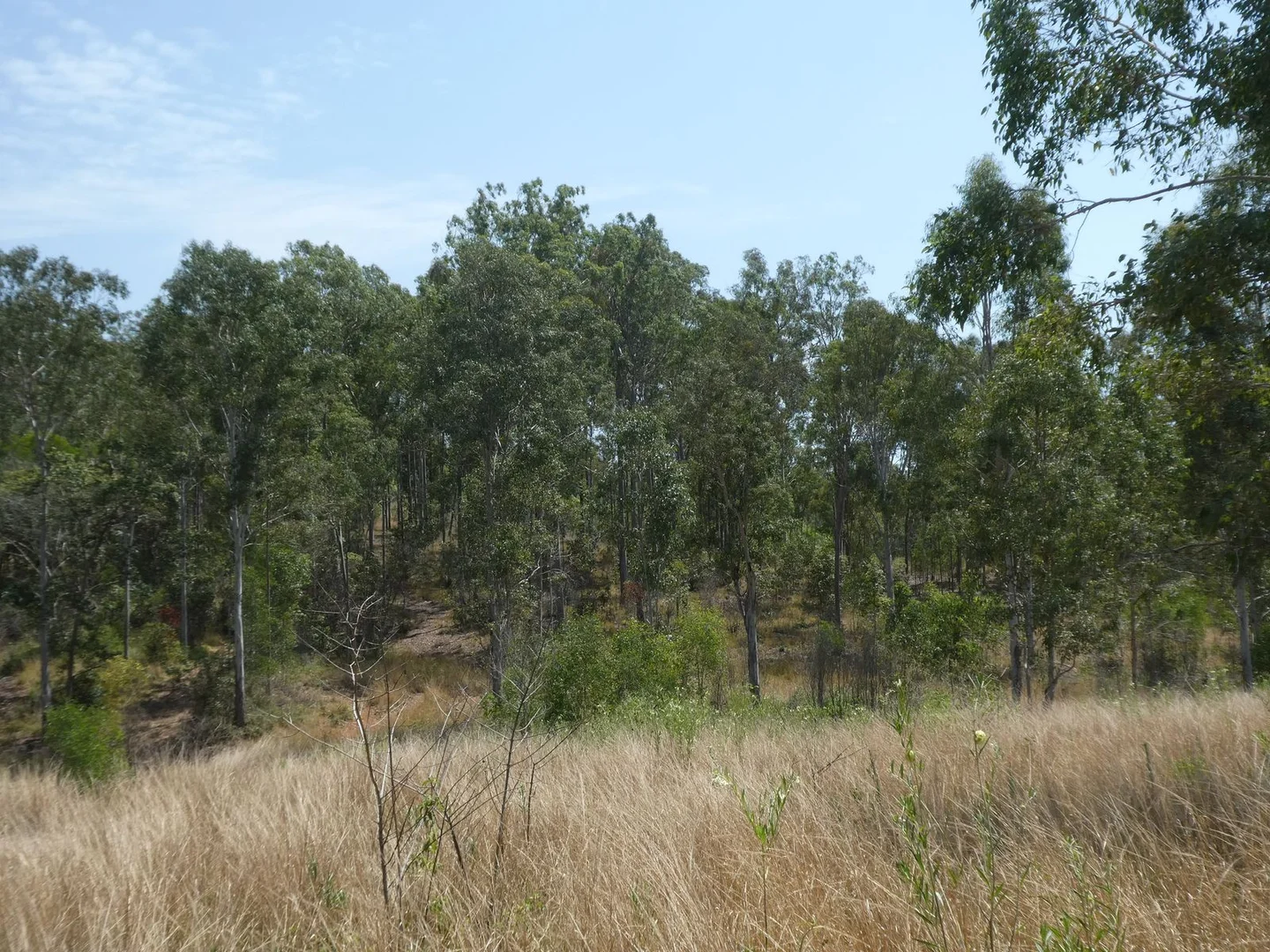 Additional image 30 of 35 Mahoneys Road, Bucca QLD 4670