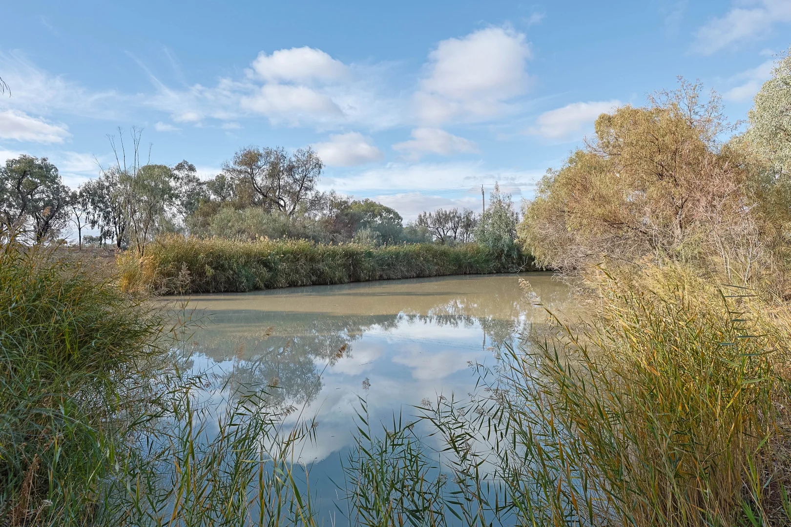 Additional image 28 of 115 - 117 Wentworth Street, Wentworth NSW 2648