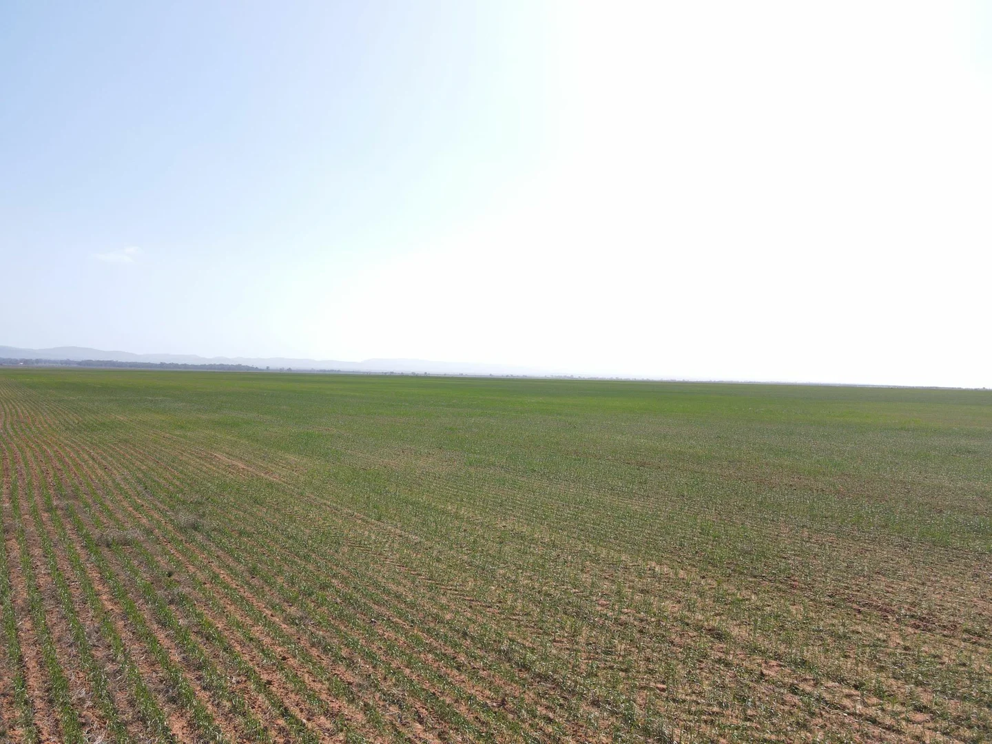 Additional image 7 of 'Daly's' Collins Road, Willowie SA 5431