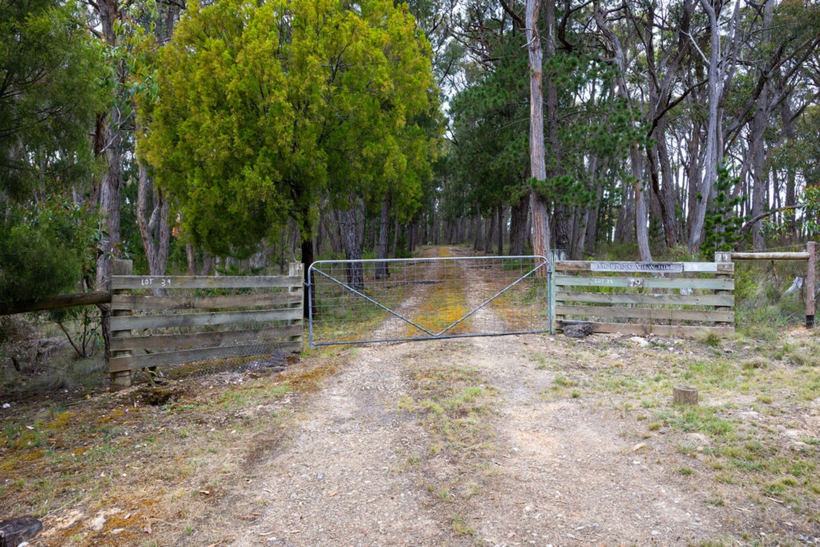 Additional image 4 of Lot 39 Tilligs Road, Scarsdale VIC 3351