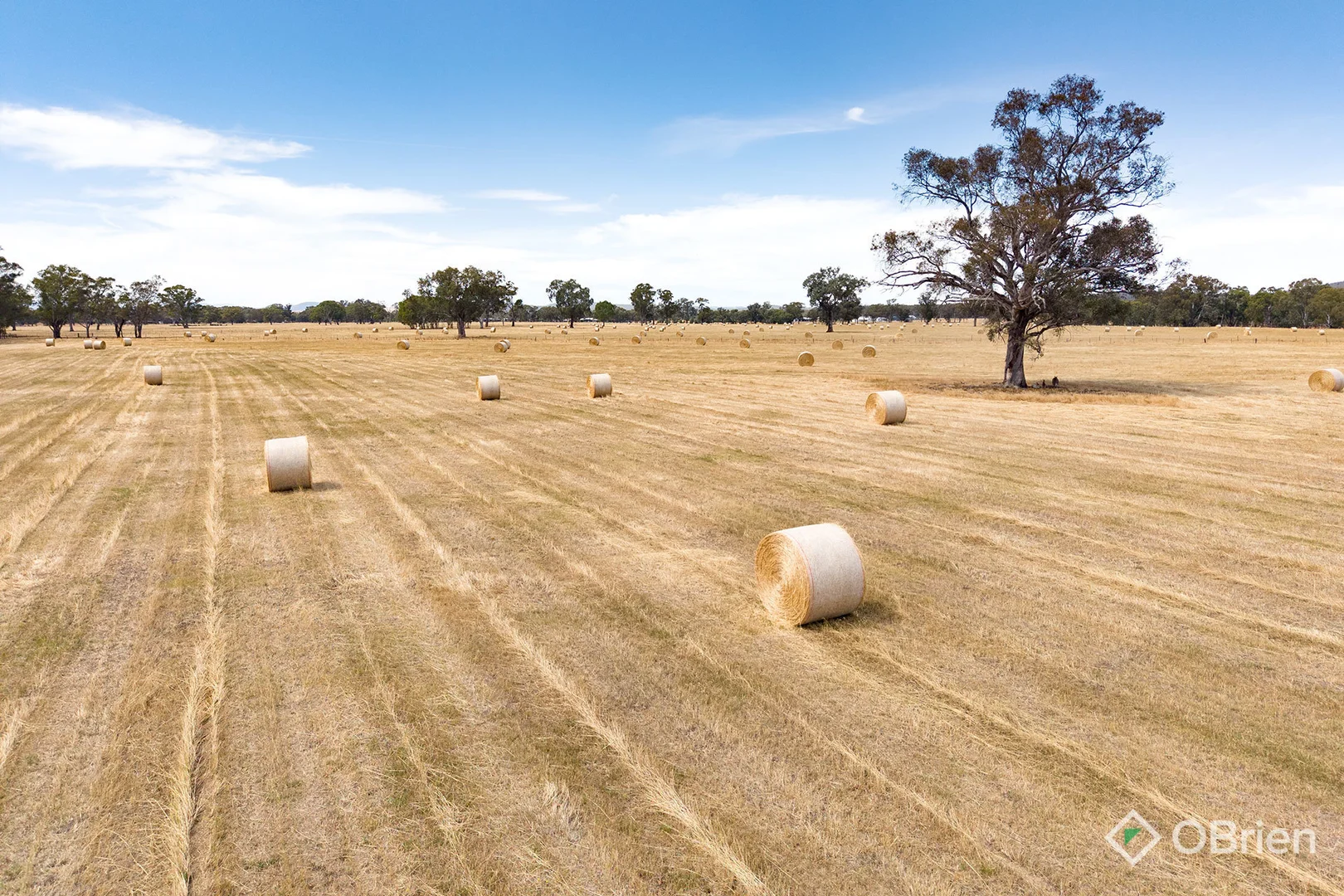 Additional image 9 of 134 Soldiers Road, Barnawartha VIC 3688