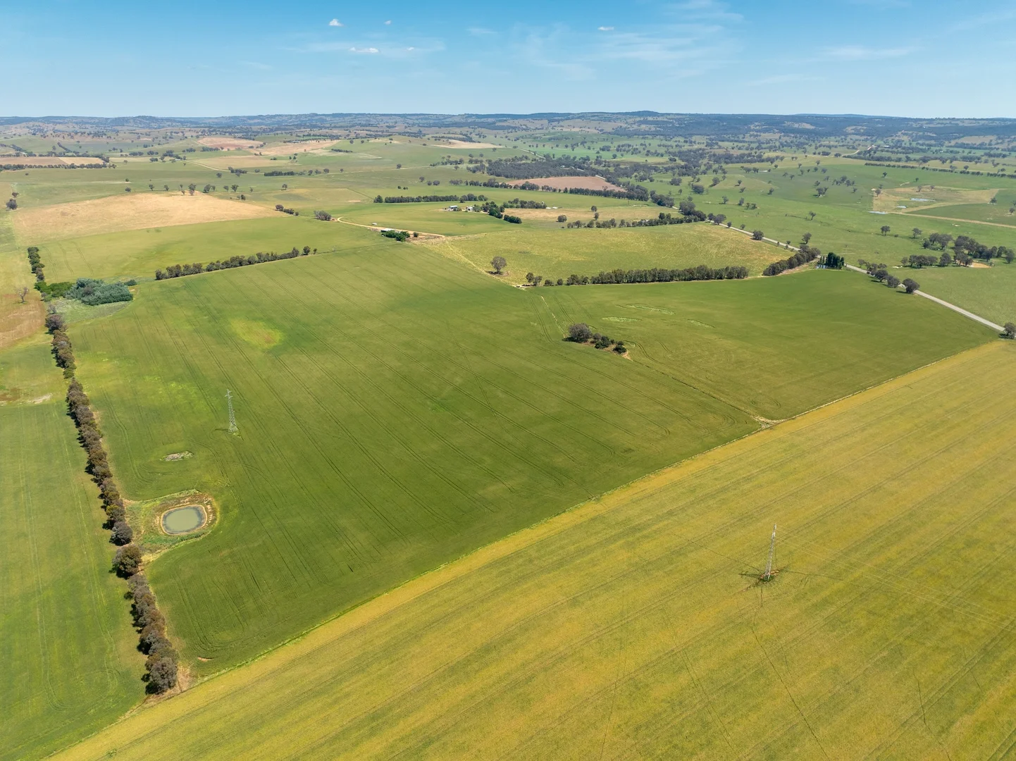 Additional image 27 of 3818 Lachlan Valley Way, Godfreys Creek NSW 2586