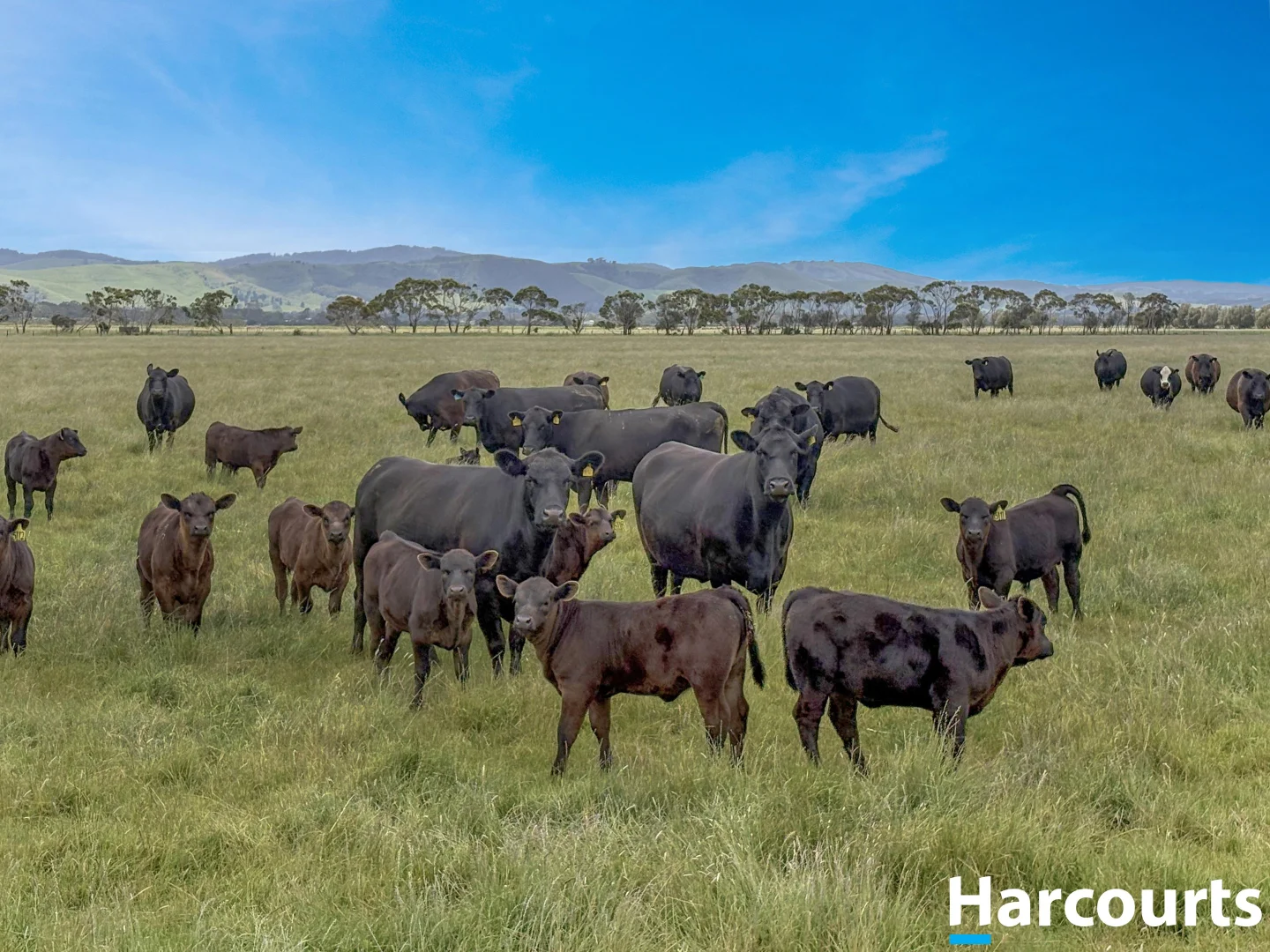 Additional image 24 of 515 Fullers Road, Foster VIC 3960