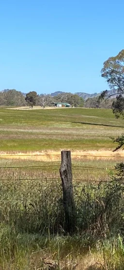 Additional image 6 of 28 Ring Lane, Tooborac VIC 3522