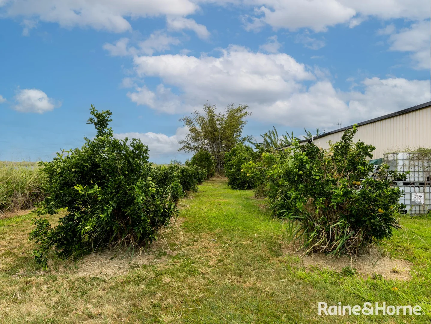 Additional image 10 of 158 River Road, Fairymead QLD 4670