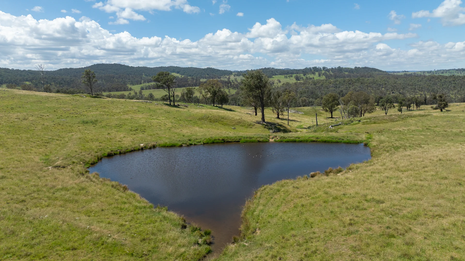Additional image 3 of "Glen Bluff" 222 Riverview Road, Wards Mistake NSW 2350