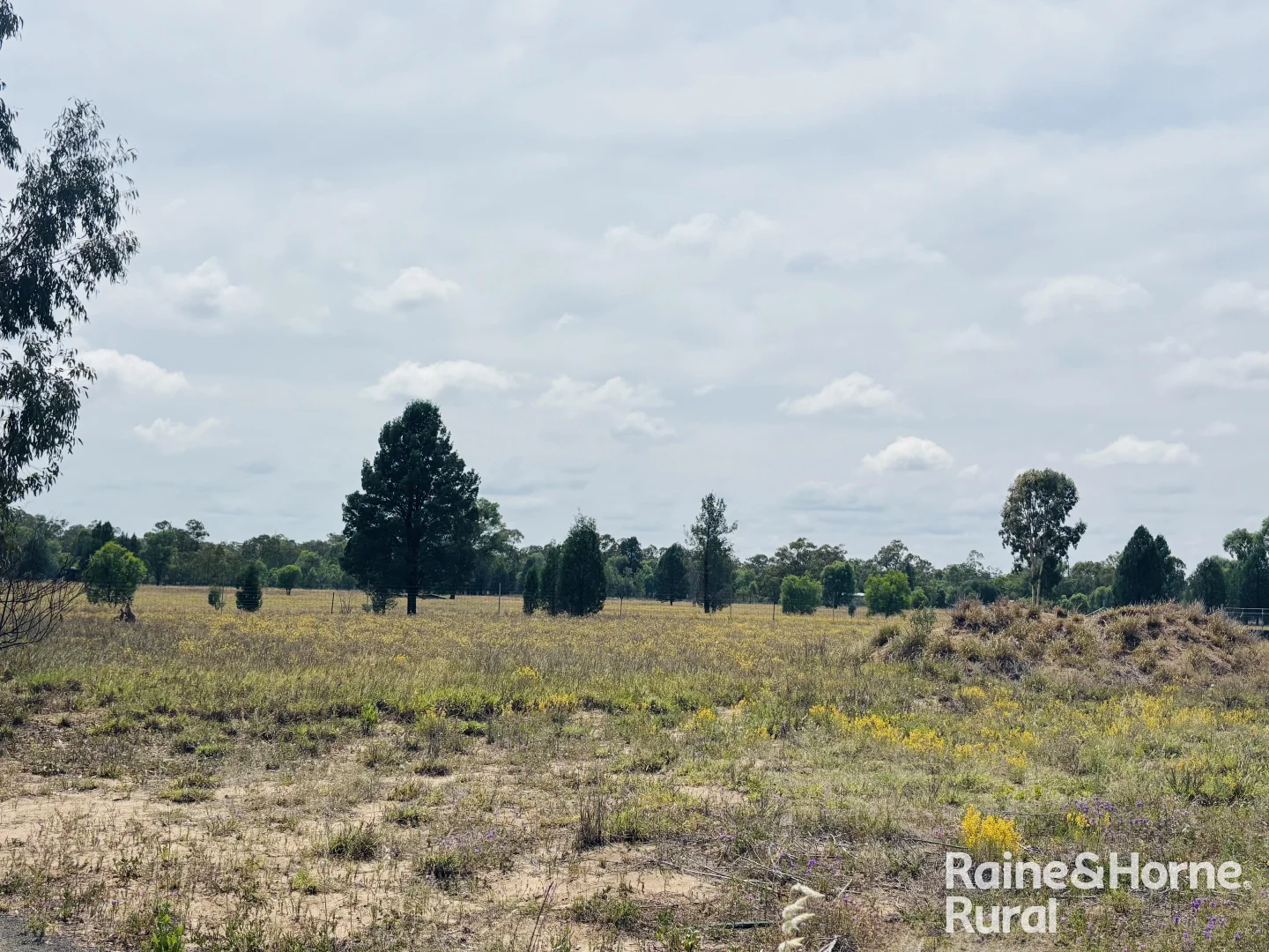 Additional image 7 of 26 Bristol Street, Mitchell QLD 4465