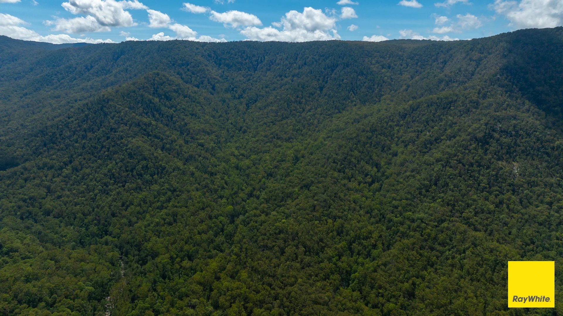 Additional image 22 of Lower Creek NSW 2440