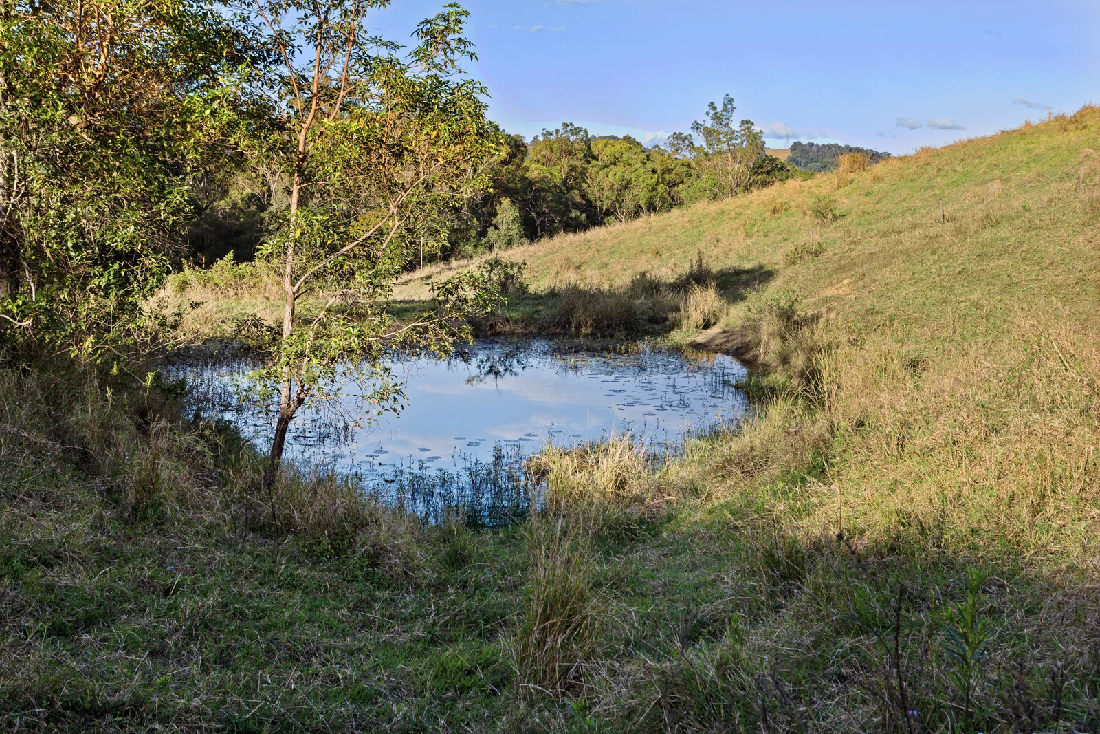 Additional image 24 of 141 Sterling Rd, Kandanga Creek QLD 4570