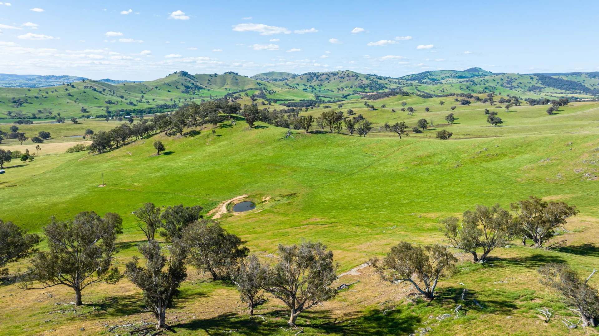 Additional image 18 of . Hore Road, Bowna NSW 2644