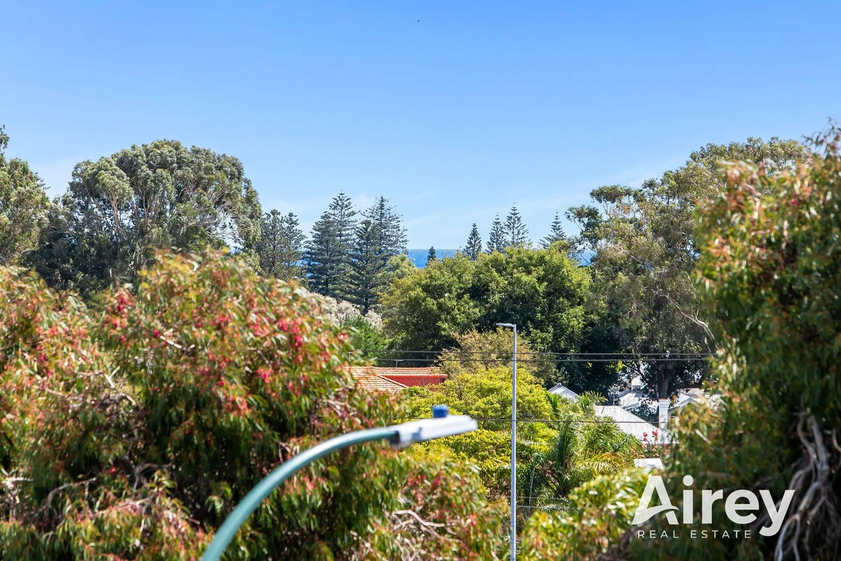 Additional image 15 of 110 Railway Street, Cottesloe WA 6011