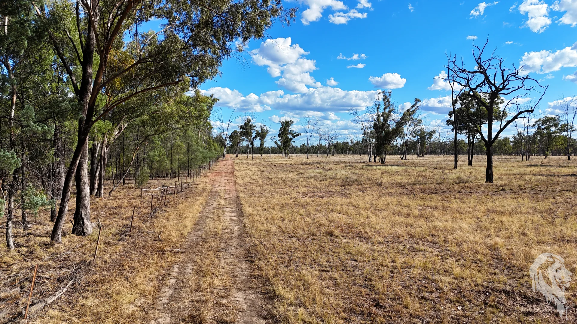 Additional image 35 of 10402 Newell Highway, Jacks Creek NSW 2390