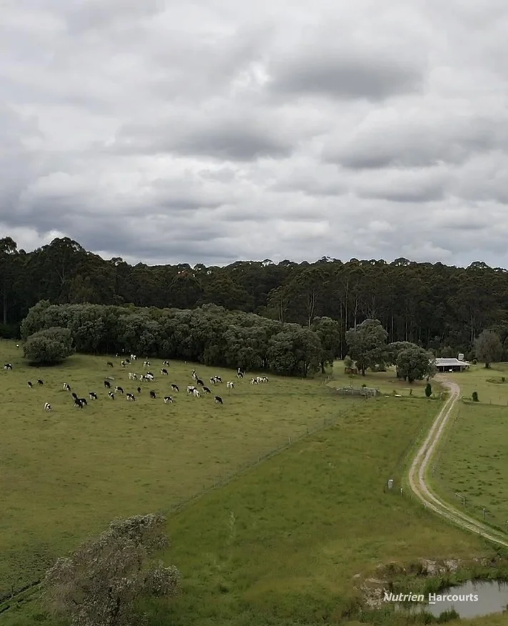 Additional image 11 of 1636 Muirillup Road, Boorara Brook WA 6262