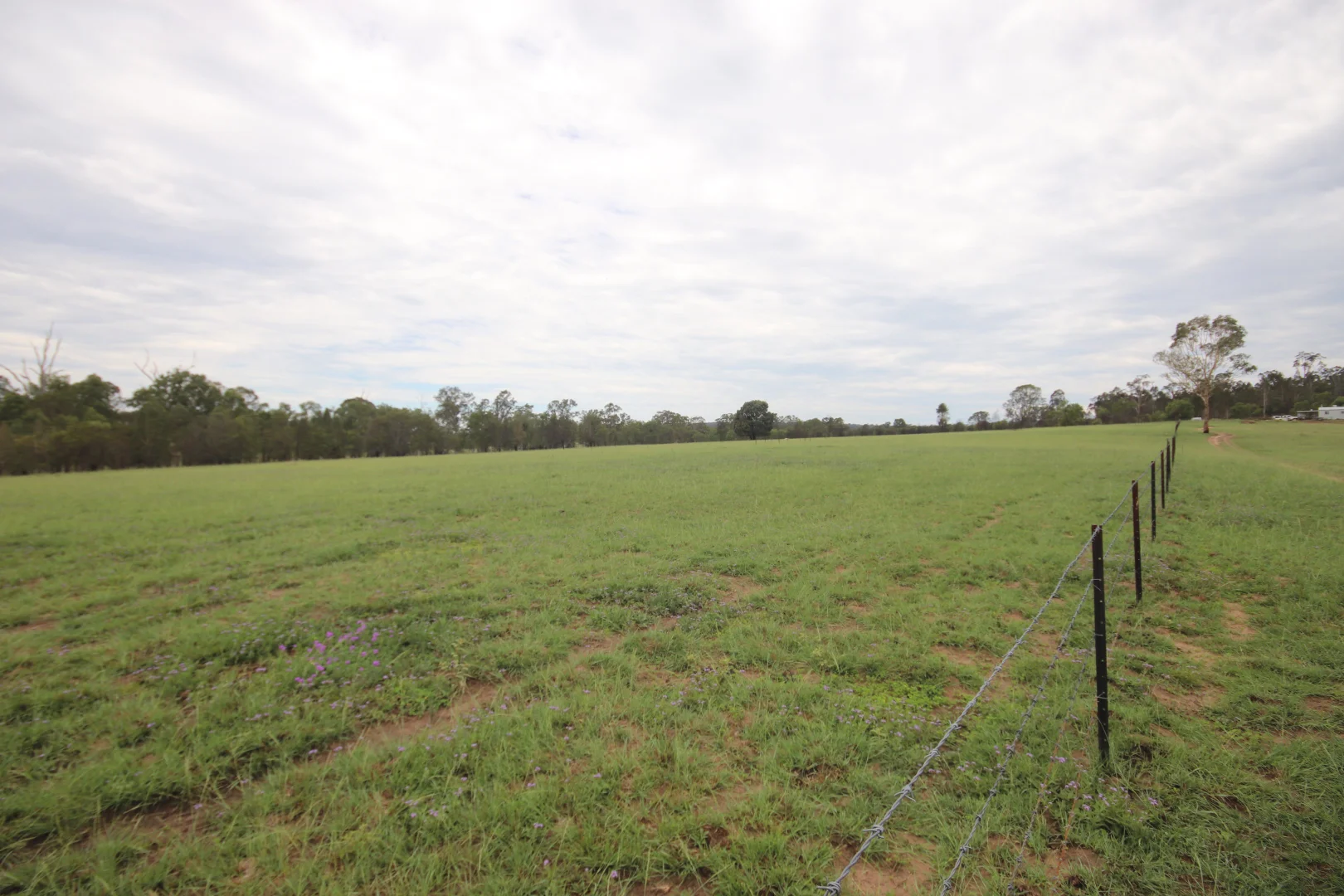 Additional image 11 of 24754 Burnett Highway, Ceratodus QLD 4627