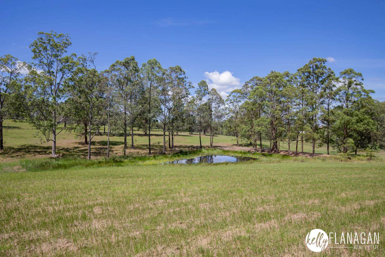 Additional image 20 of 179 Link Road, Yarravel NSW 2440