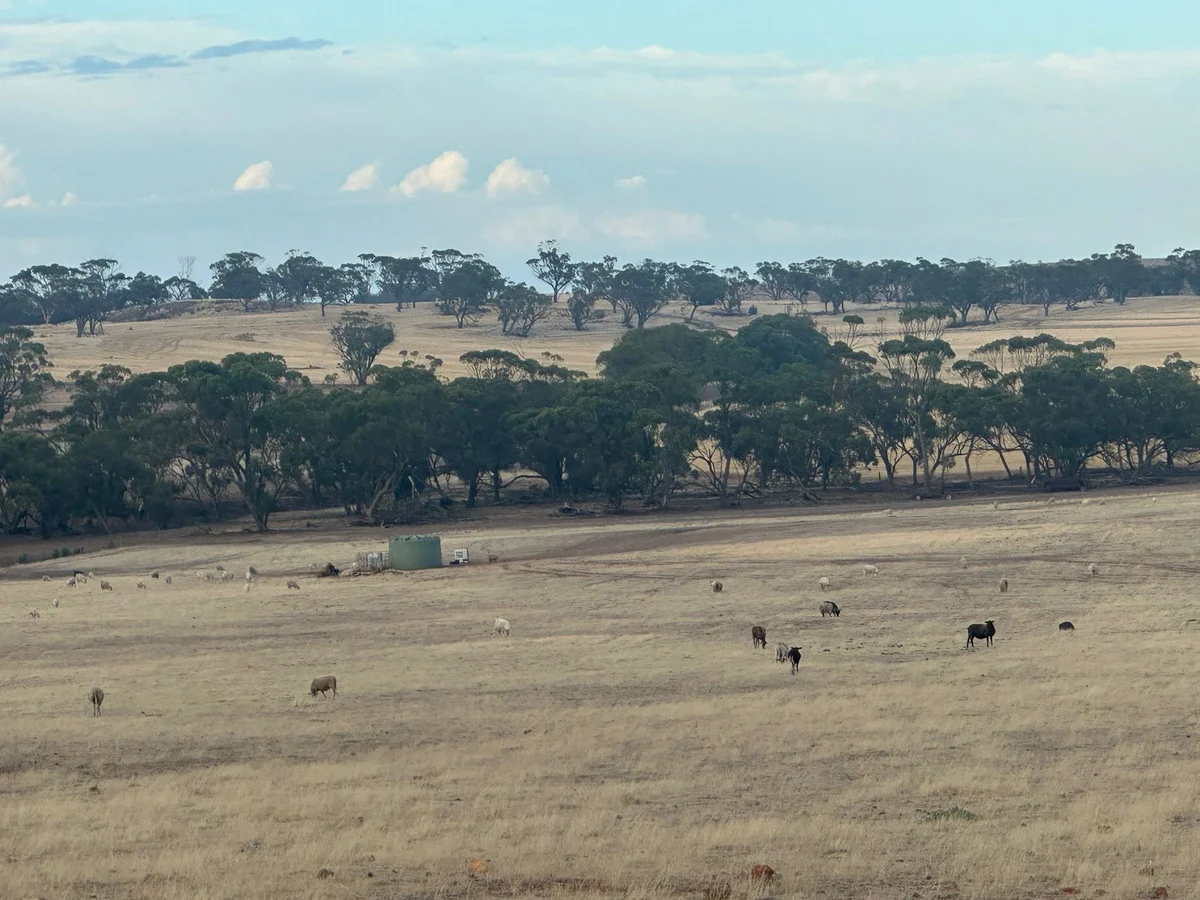 Additional image 3 of 2130 Long Forrest Road, Mumberkine WA 6401