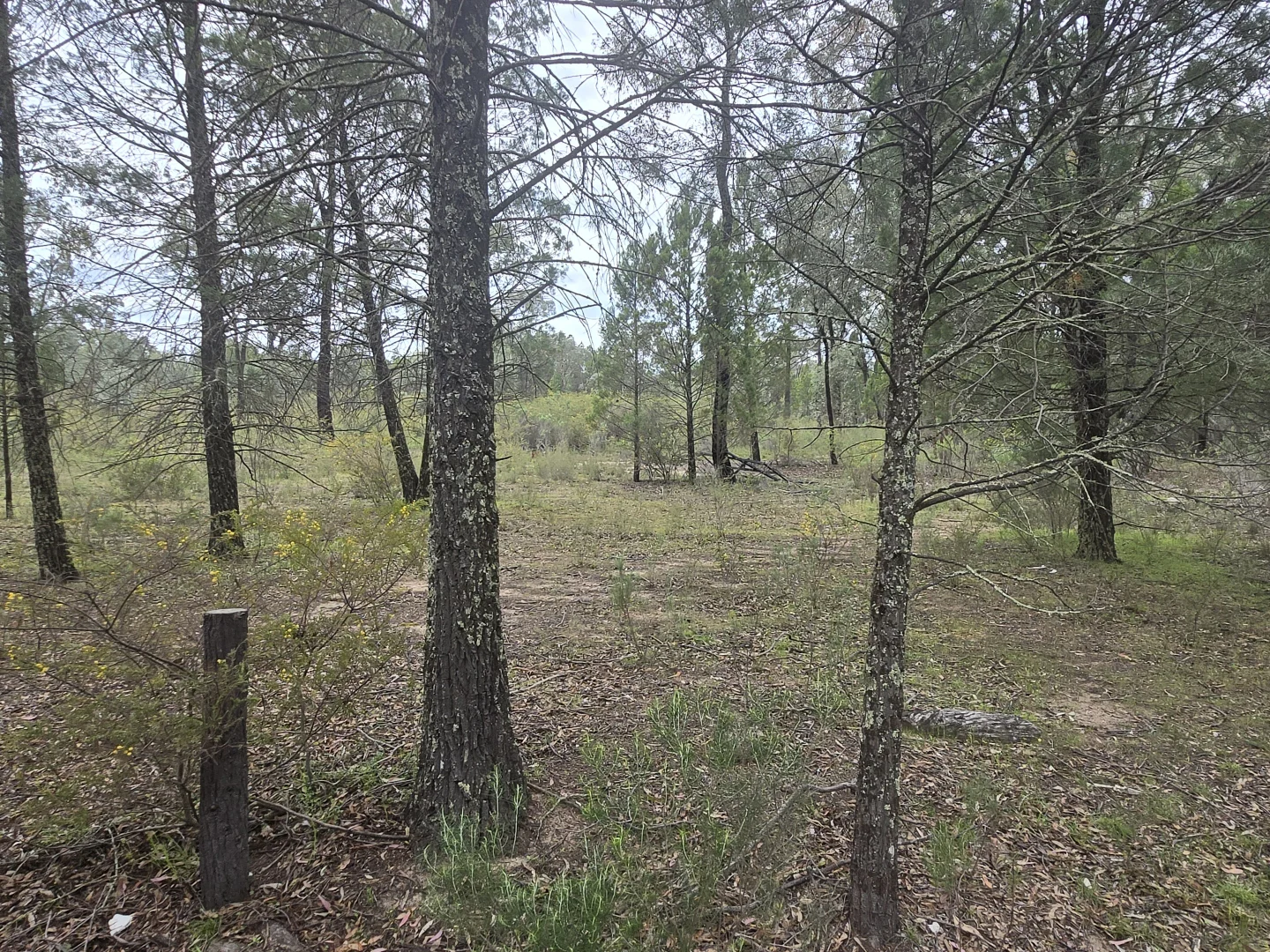 Additional image 5 of 1657 Kangarooby Road, Gooloogong NSW 2805