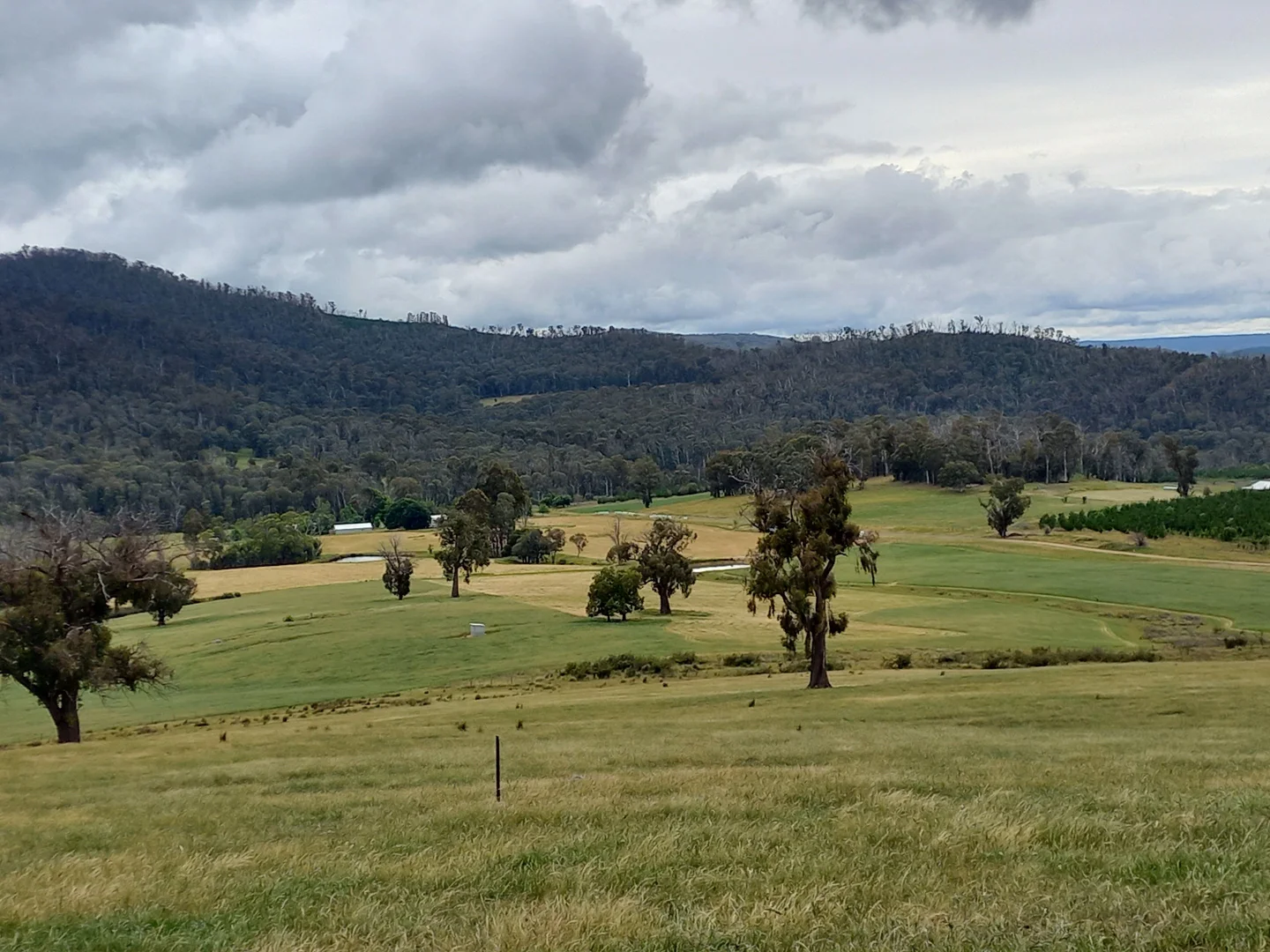 Additional image 14 of Lot 10/714 Yenschs Road, Lankeys Creek NSW 2644