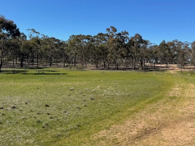Additional image 7 of 4CA Calder Highway, Wedderburn VIC 3518