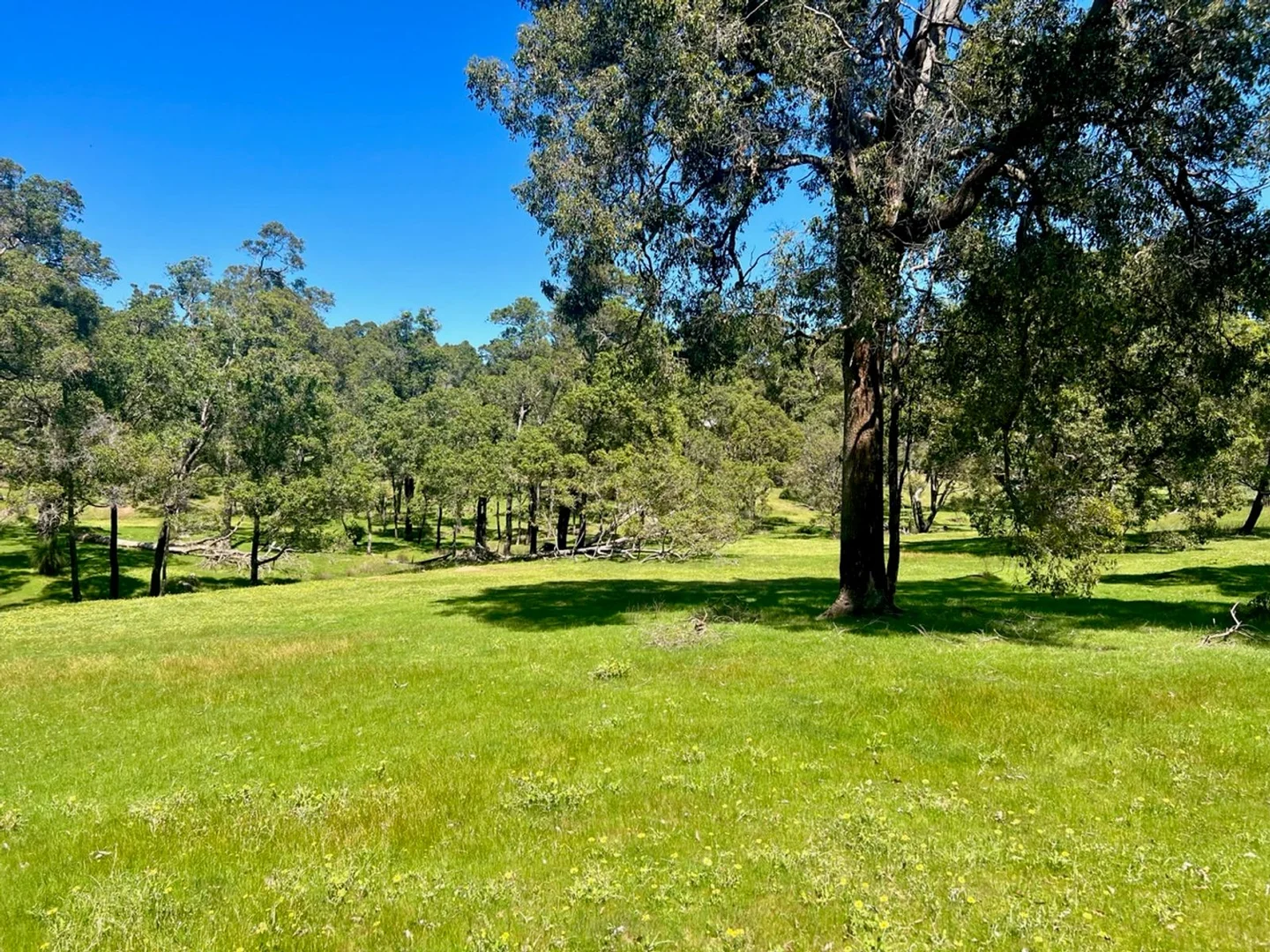 Additional image 16 of 59 Lyons Road, Waroona WA 6215