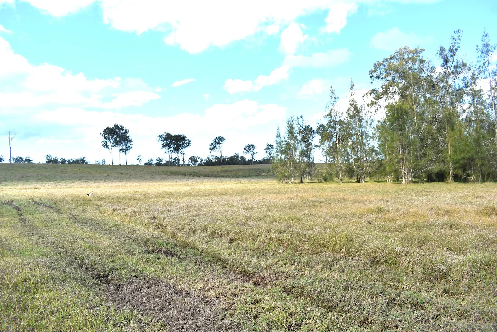 Additional image 9 of 539 Old Gayndah Road, Dunmora QLD 4650