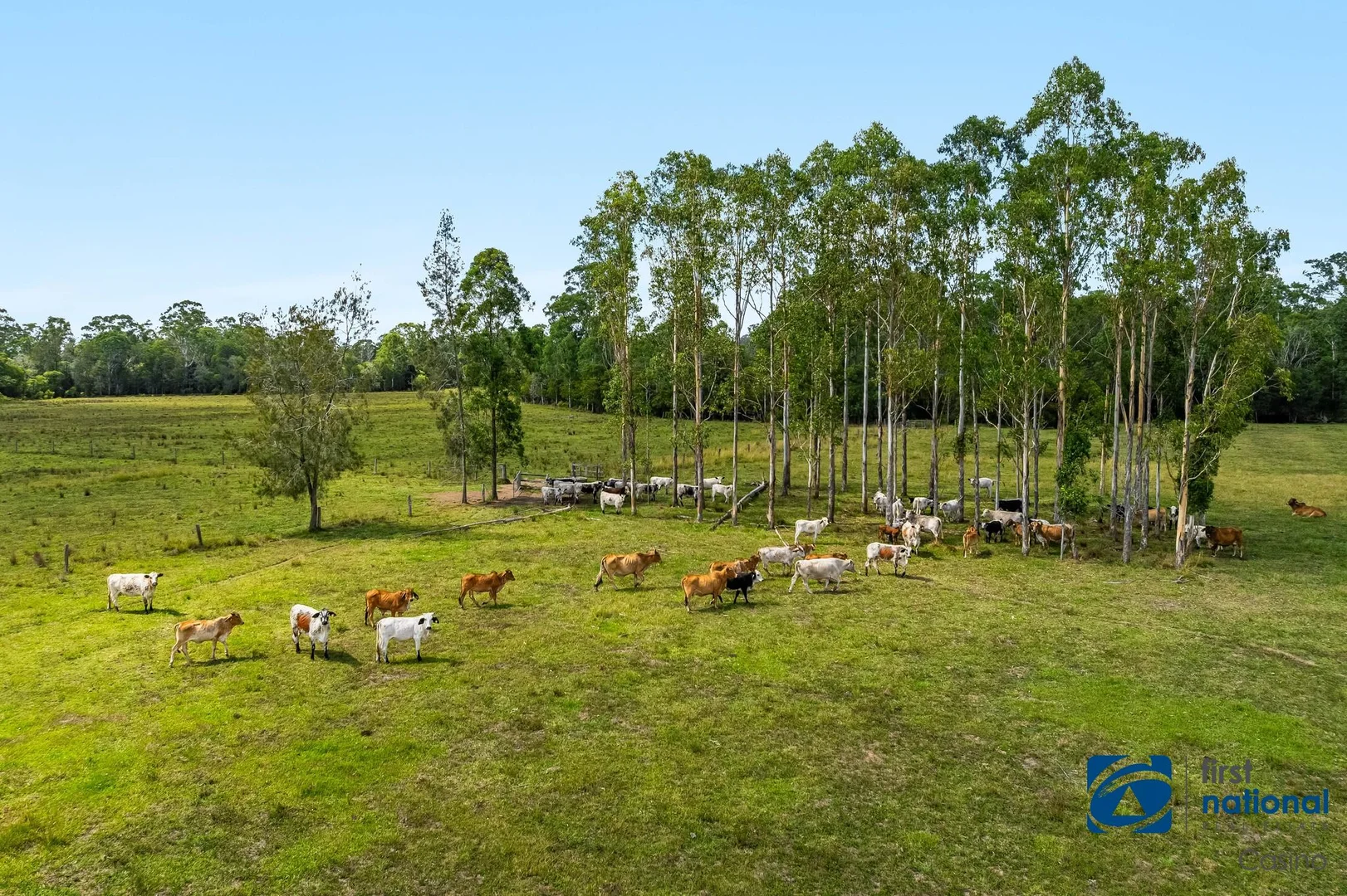 Additional image 9 of 541 Tatham Ellangowan Road, Tatham NSW 2471