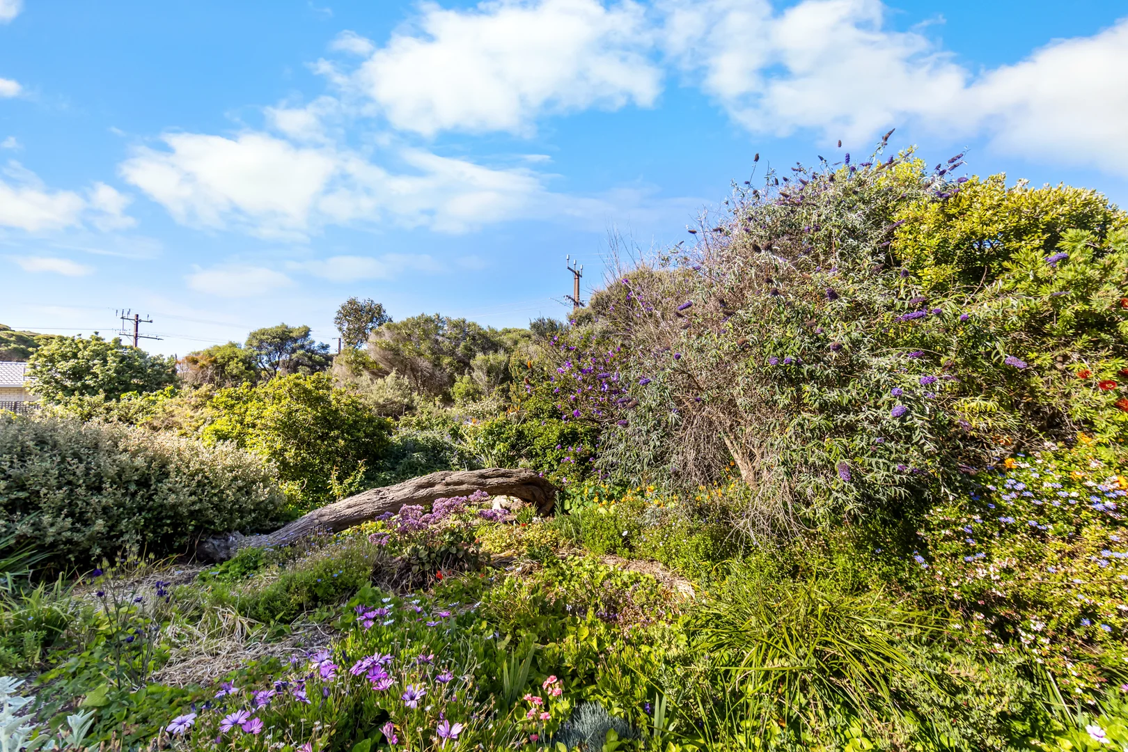 Additional image 27 of 2 PARKLANDS TERRACE, Beachport SA 5280